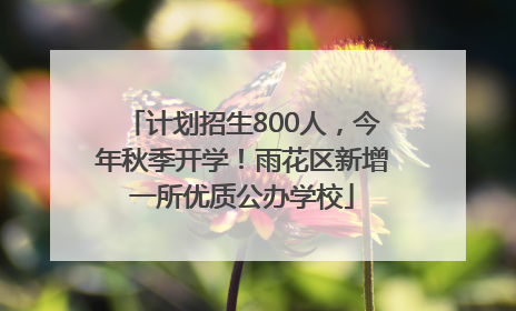 计划招生800人，今年秋季开学！雨花区新增一所优质公办学校